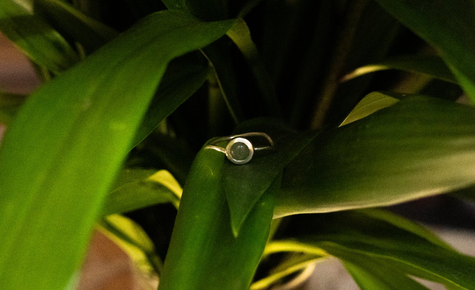 DSC03267